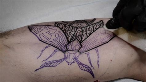 terrarium tattoo fort collins.